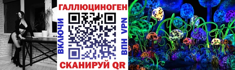 Псилоцибиновые грибы Cubensis Волжск